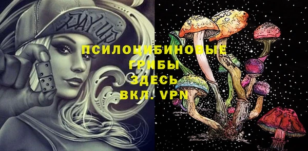 мяу мяу мука Козловка