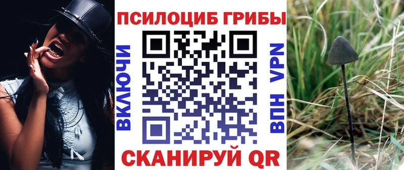 маркетплейс формула  Красавино  Галлюциногенные грибы Psilocybe 