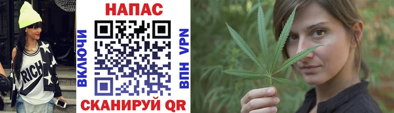 как найти   Красавино  Каннабис VHQ 